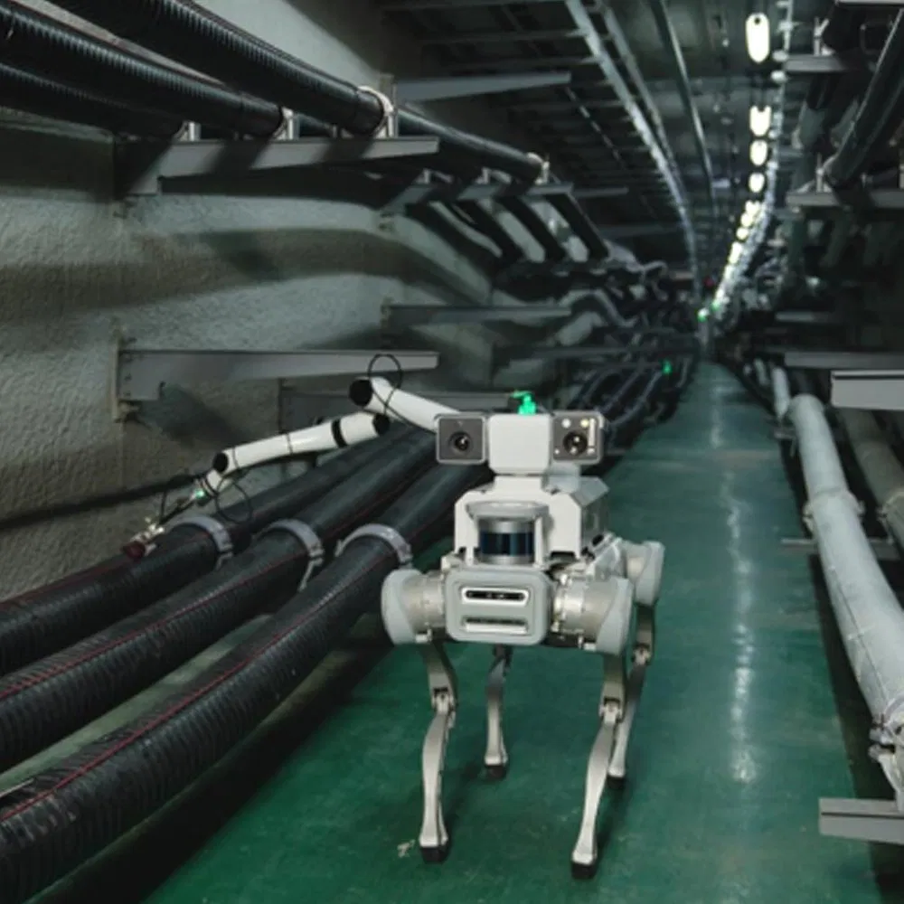 The Ultimate Quadruped Bot Series for Industrial Use X20 Robot Dog