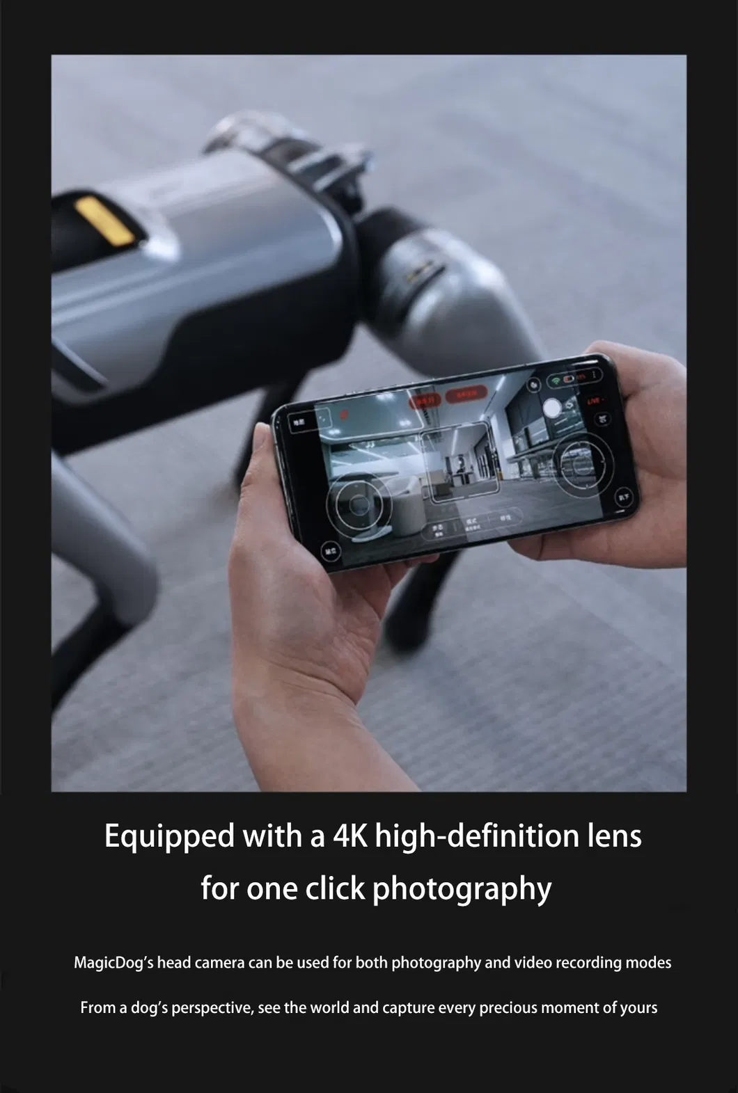 Intelligent Robot Dog