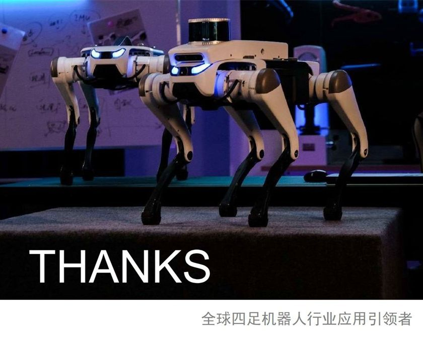 Entertainment Robot Dog G0 2 - Smart Interactive Robotic Pet with Advanced Features for Fun &amp; Play