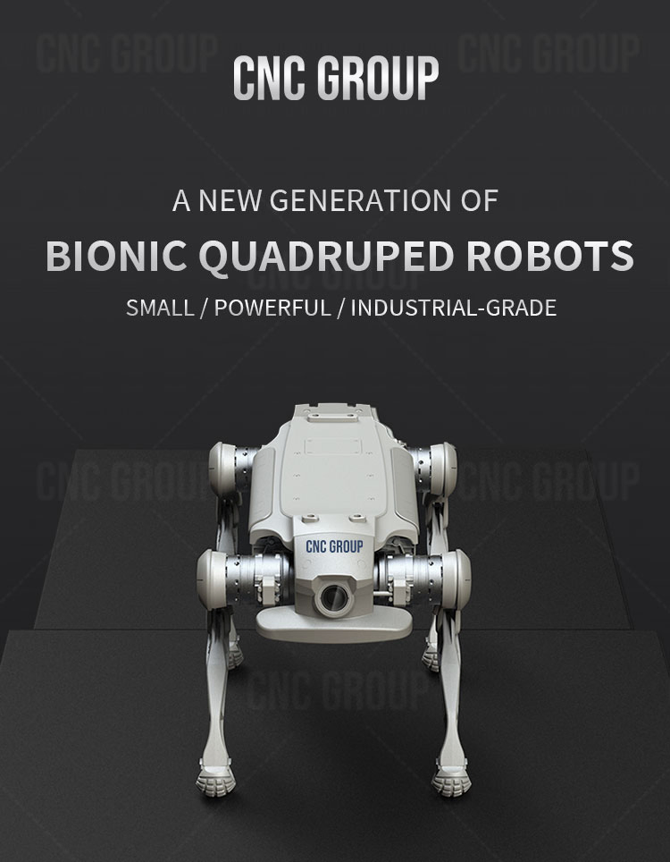 Intelligent 4-Legged Construction Machinery Robot Dog with Bionic Quadruped Design