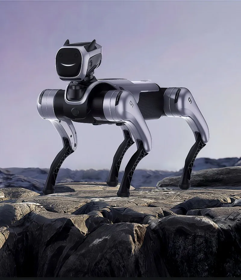 Robot Dog Application