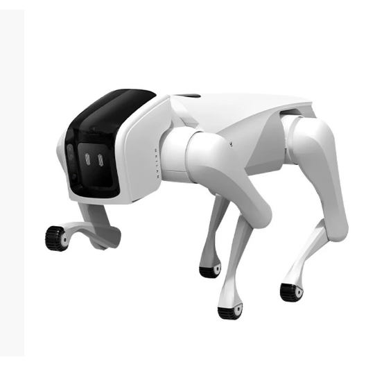 Plastic Injection of Quadruped Intelligent Bionic Robot