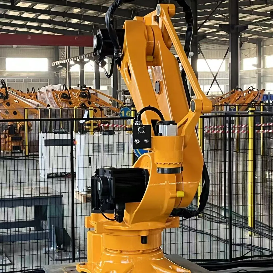 Palletizing Robot View