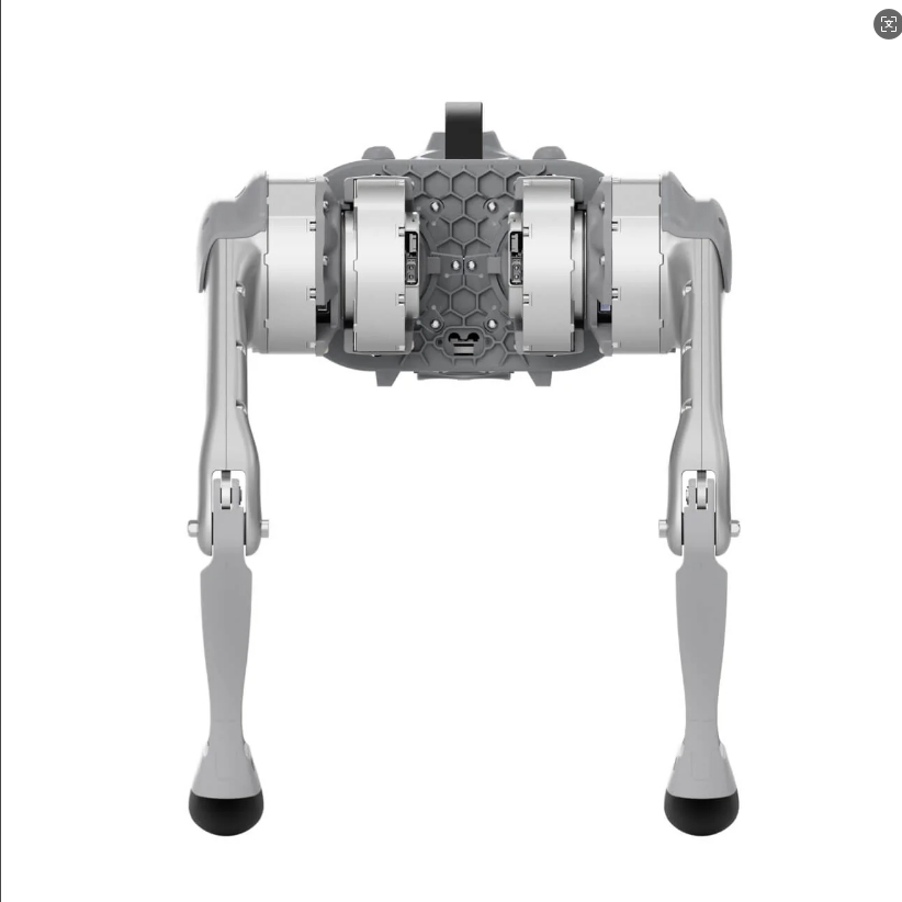 Unitree Go1 Ai Bionic Robot Dog, Autonomous Navigation &amp; Real-Time Avoidance, for Home/Security