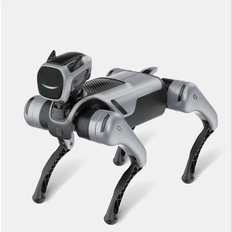 Backflip Robot Dog