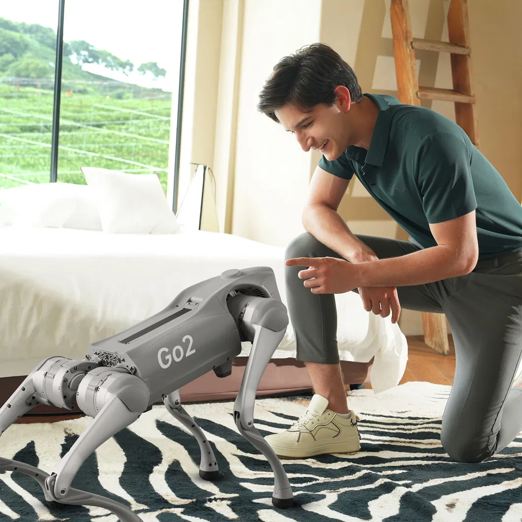 Smart Robot Features