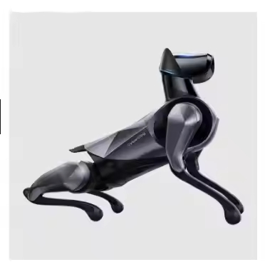 WiFi GPS Intelligent Large Model Stainless Steel Bionic Dog Programmable Quadruped Robot Sports Entertainment Industrial