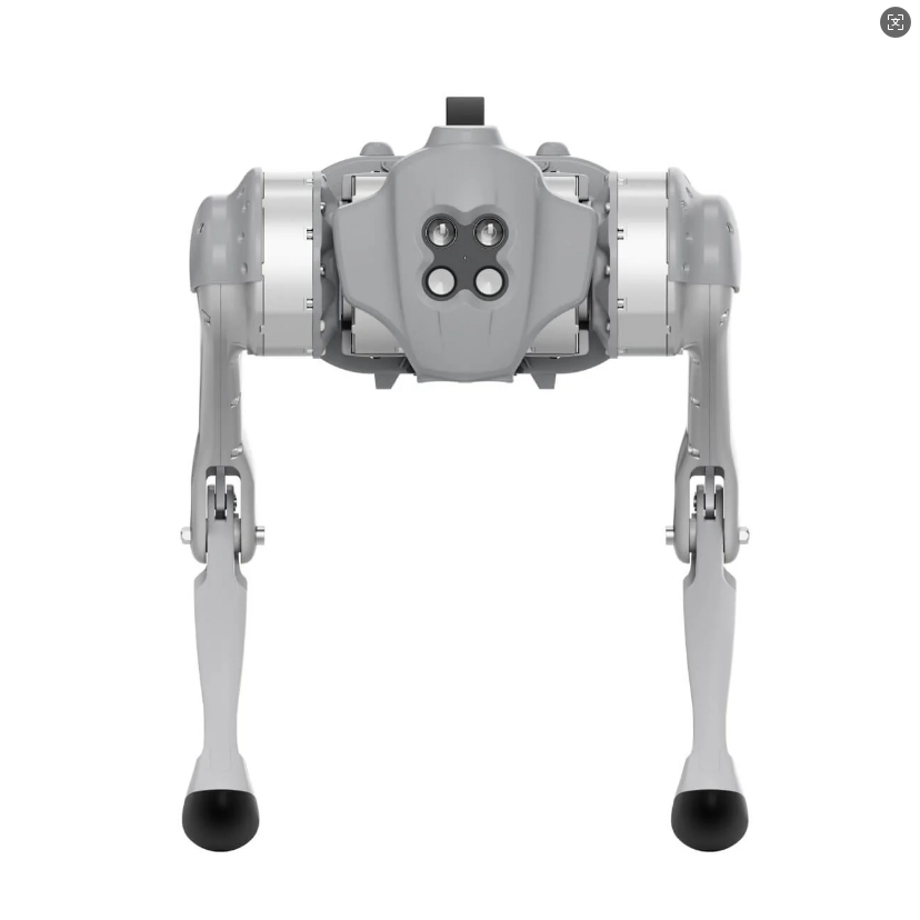 Unitree Go1 Ai Bionic Robot Dog, Autonomous Navigation &amp; Real-Time Avoidance, for Home/Security