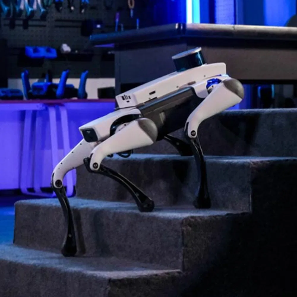 The Lite 3 Series Advanced Bionic Robot Dogs