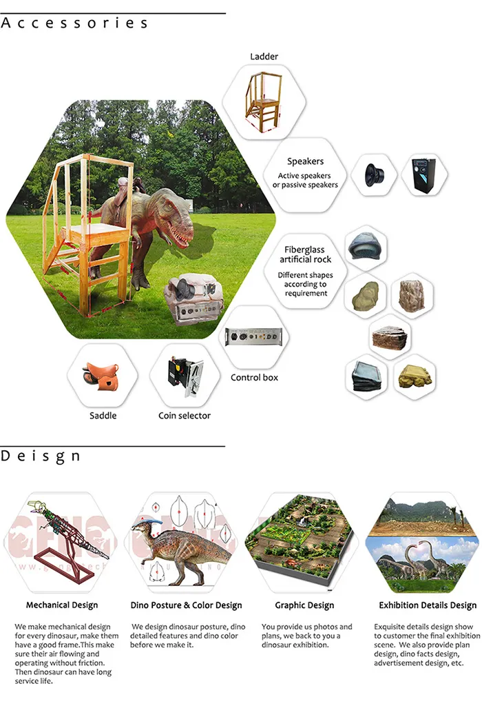 Dinosaur Accessories