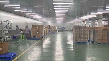 Packaging Workshop