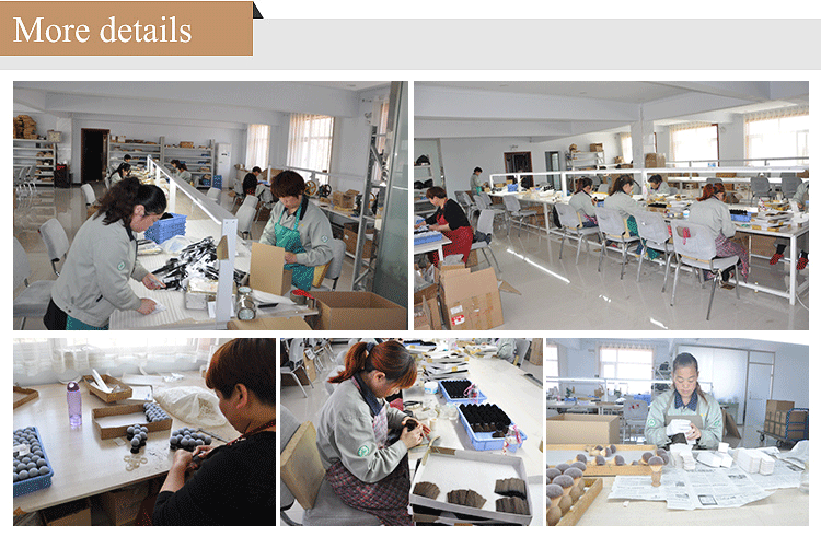 Factory Facility 3