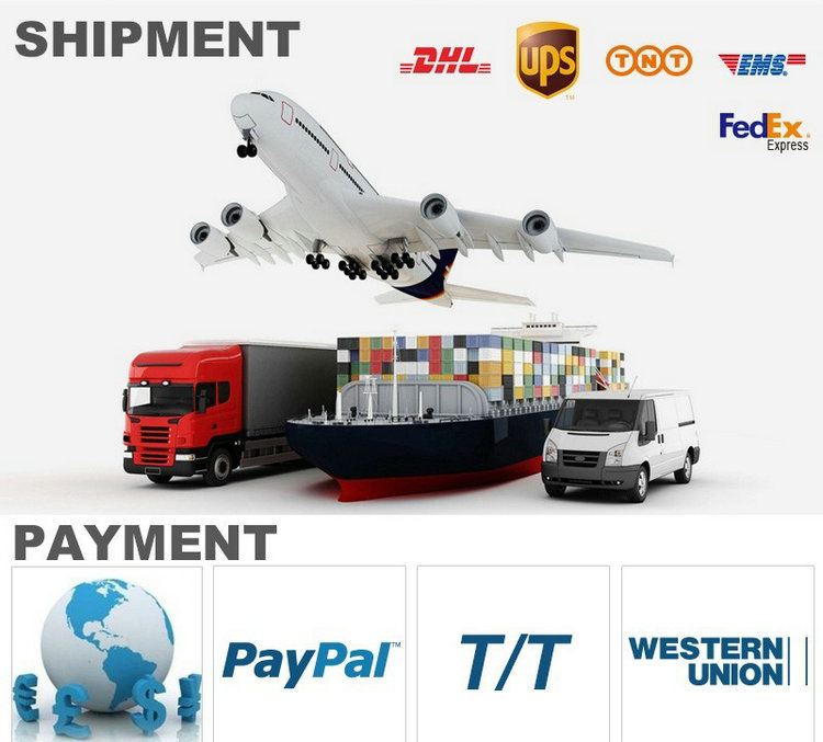 Logistics and Payments Information