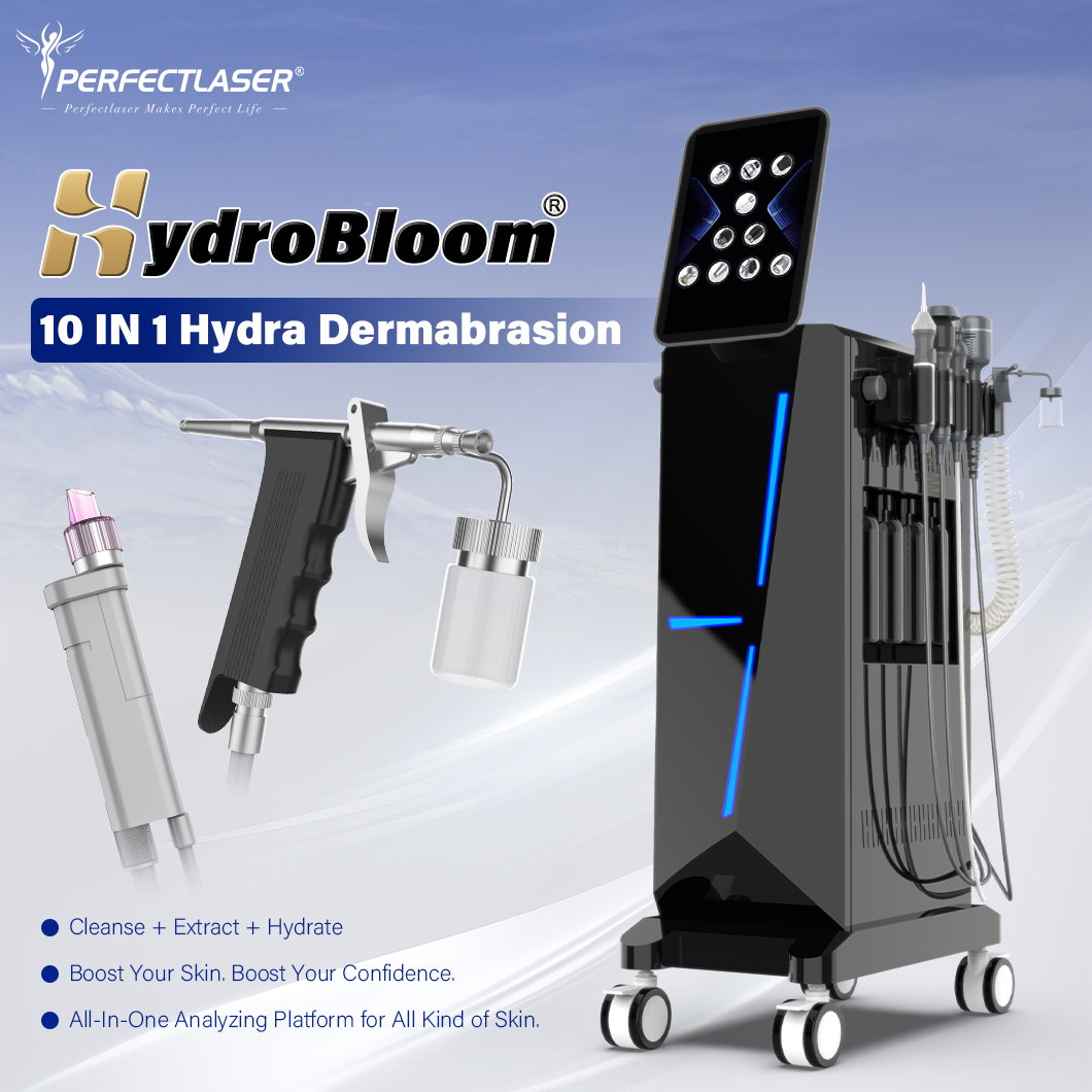Newest Commercial Esthetician Salon 10 In 1 Hydrodermabrasion Aqua Peel Oxygen Jet Hydra Beauty Facial Machine For Home Use