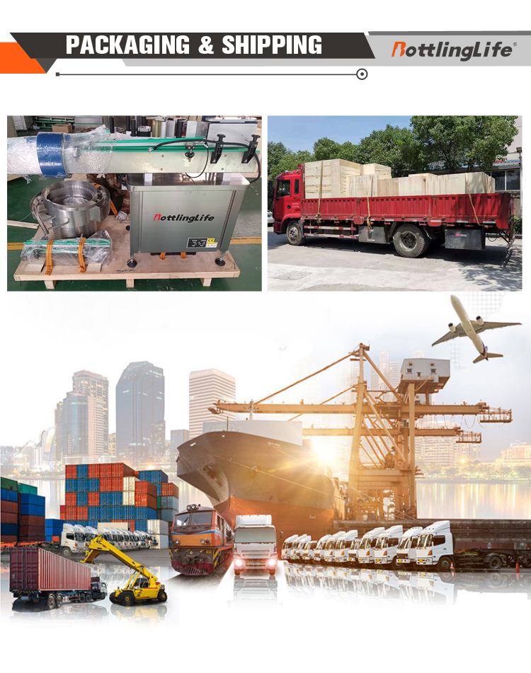 Cargo Dispatch Shipping