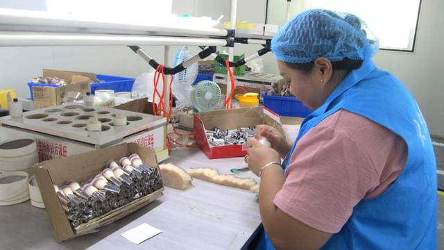 Exio Beauty production line and brush assembly workshop