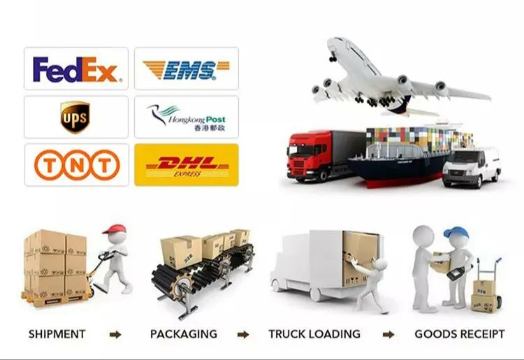 Export and Logistics