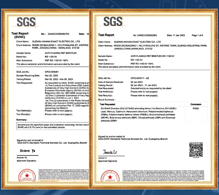 Certificate 6