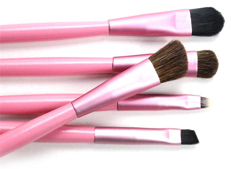 5pcs Professional Travel Portable Mini Eye Makeup Brushes Set