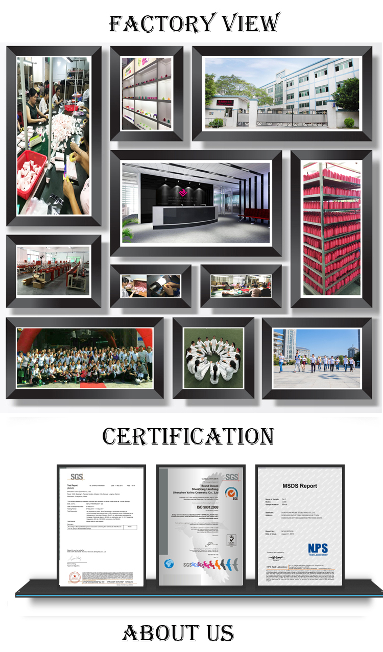 Company Showcase