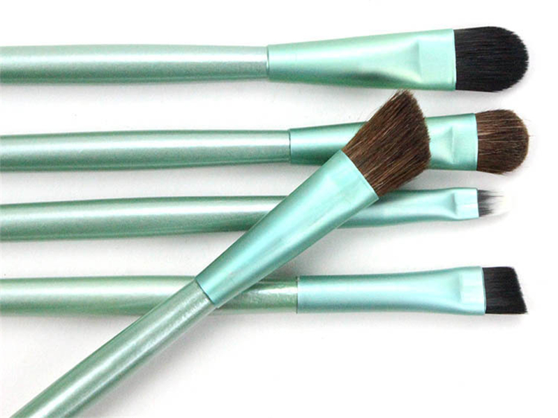 5pcs Professional Travel Portable Mini Eye Makeup Brushes Set