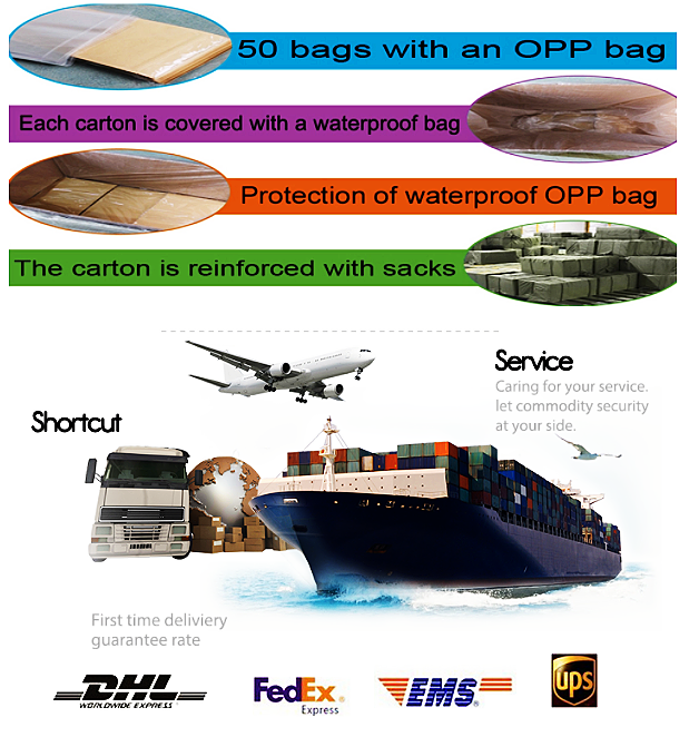 Standard Shipping Container Loading 1