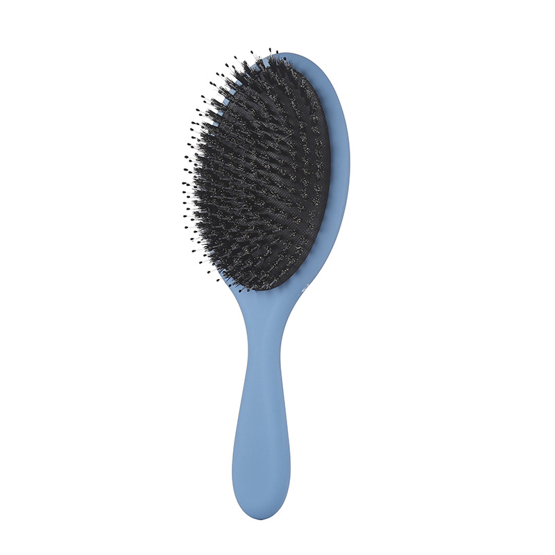 Factory Private Label Air Cushion Massage Dry Wet Boar Bristle Hair Brush for Women