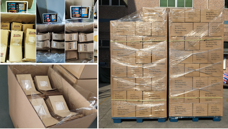 Packed Cartons Ready for Shipment