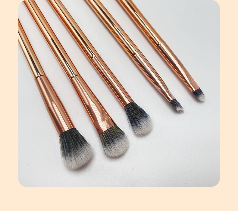 OEM /ODM Wholesale Price Newly Style Makeup Brush 5 Piece Set Customization Professional Beauty Tool