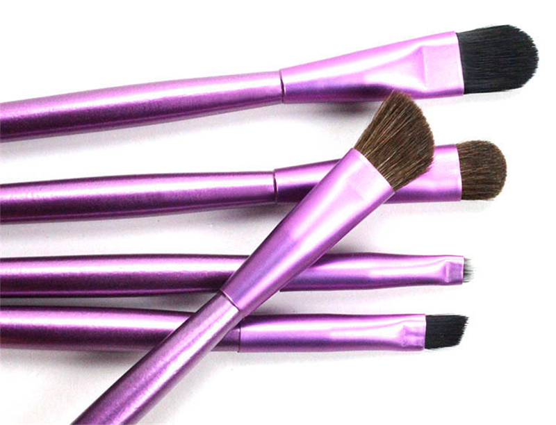 5pcs Professional Travel Portable Mini Eye Makeup Brushes Set