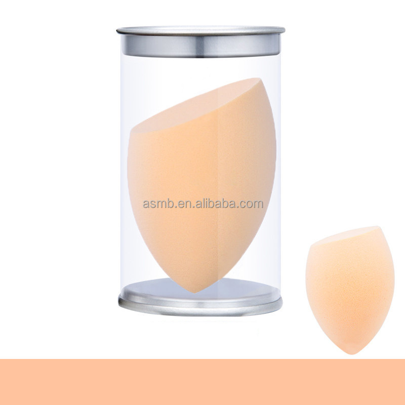 Makeup Sponge Style 1
