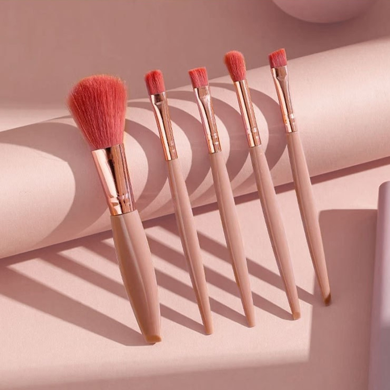 Professional 5-Piece Makeup Brush Set with Soft and Full Bristles Fan Style Convenient Storage Case