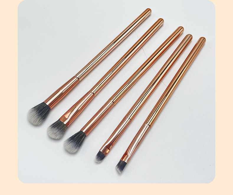OEM /ODM Wholesale Price Newly Style Makeup Brush 5 Piece Set Customization Professional Beauty Tool