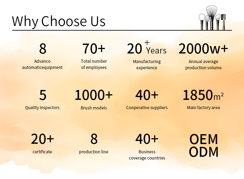 Why Choose Us
