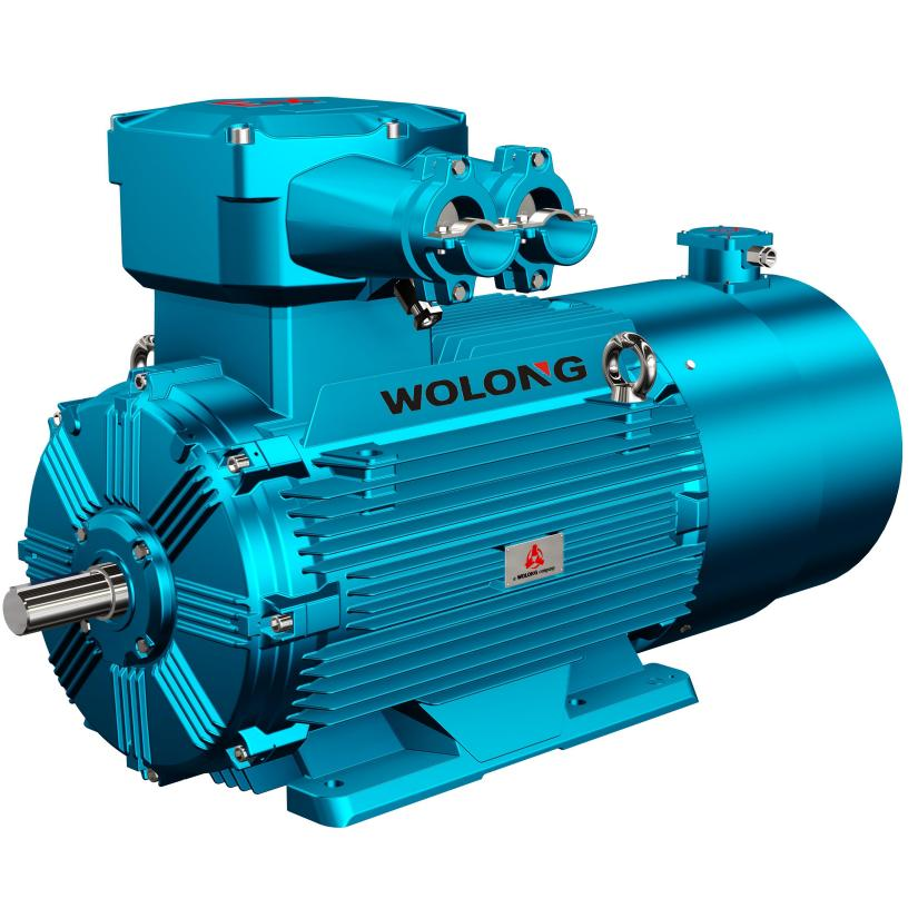 High-Quality Wolong Nanyang YBBP series low voltage variable frequency explosion-proof three-phase asynchronous motor Manufacturers, Factory