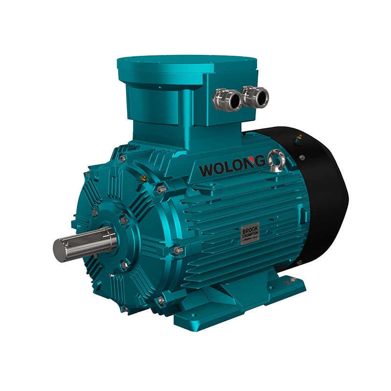 High-Quality Brook brand WE Series High Efficiency Three Phase Asynchronous Motor Manufacturers, Suppliers