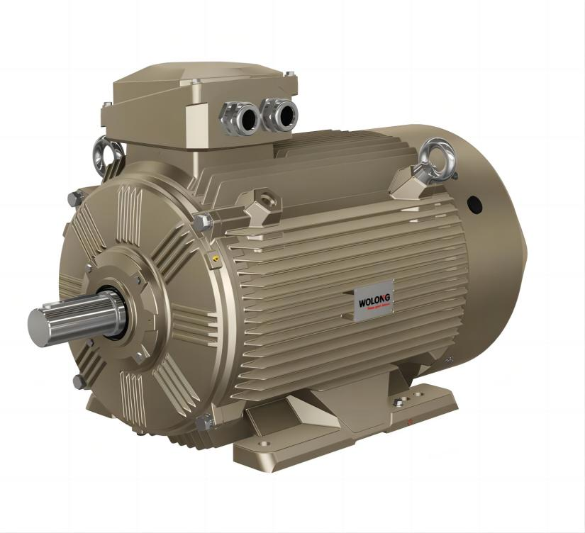 WEPM series motor presentation