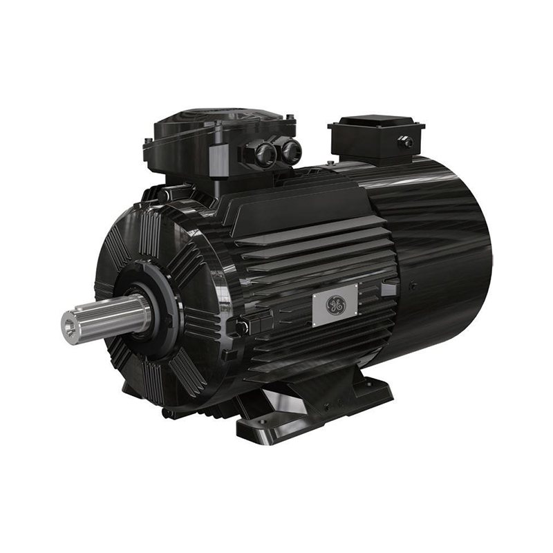 CE Certification Wolong Nanyang WEBP3 series low voltage explosion-proof variable frequency three-phase asynchronous AC motor Manufacturers, Factories