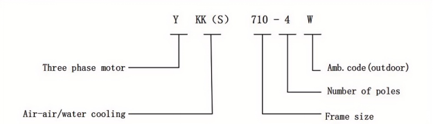 Schorch Model Description Diagram