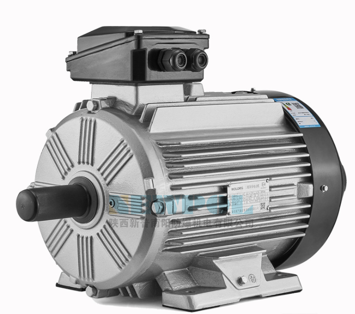 CE Certification WE4 Series High-Performance low voltage Asynchronous Motor  Factories, Exporters