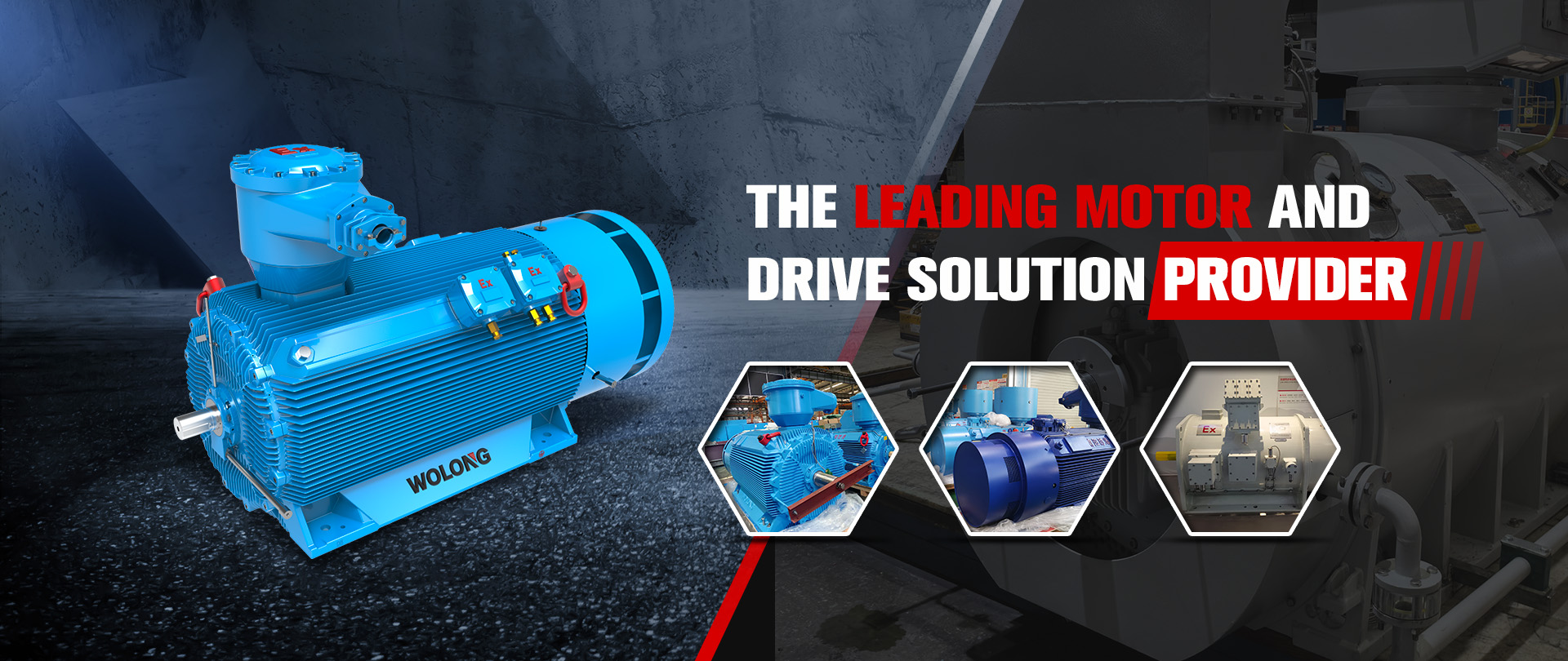 Wolong explosion-proof electric motor manufacturing facility