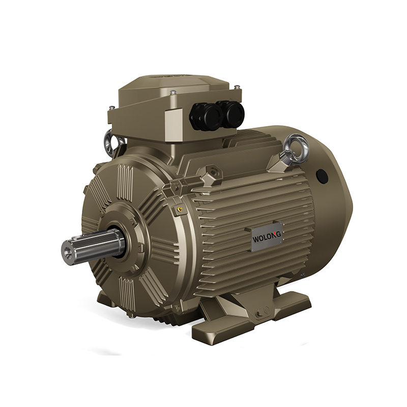 China Wolong Nanyang WE3 series low voltage and high efficiency three-phase asynchronous AC motor Manufacturer, Factories