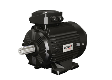 CE Certification Wolong Nanyang WEPM series variable frequency speed Three-phase regulation PMSM motor Exporter, Companies
