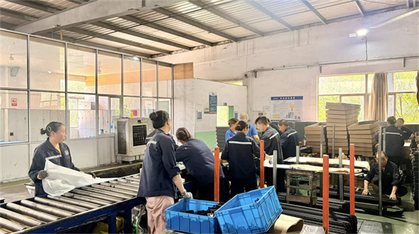 Inspection and Packing
