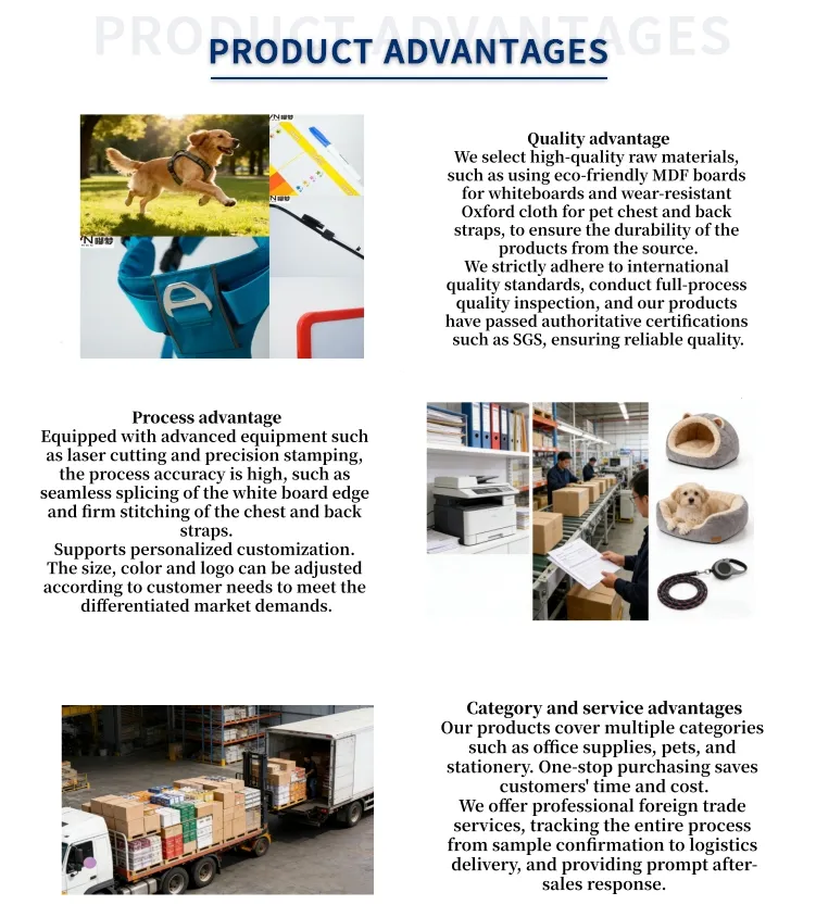 Office Document Organizing