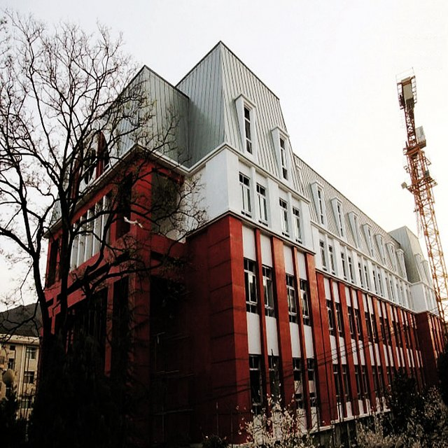 Prevailing Roof Material Standing Seam Roofing System for Villas Roof