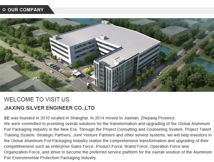 Aluminum Foil Application 1