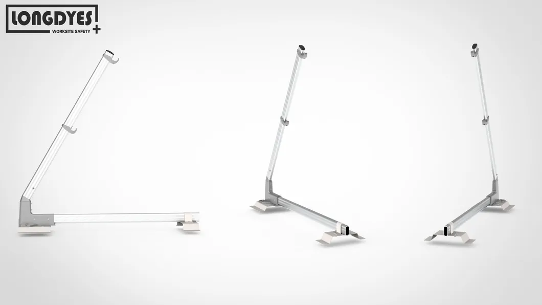 Professional Service