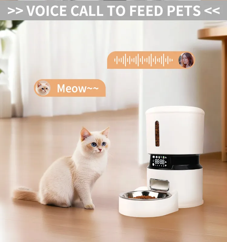 Smart Feeder View 2