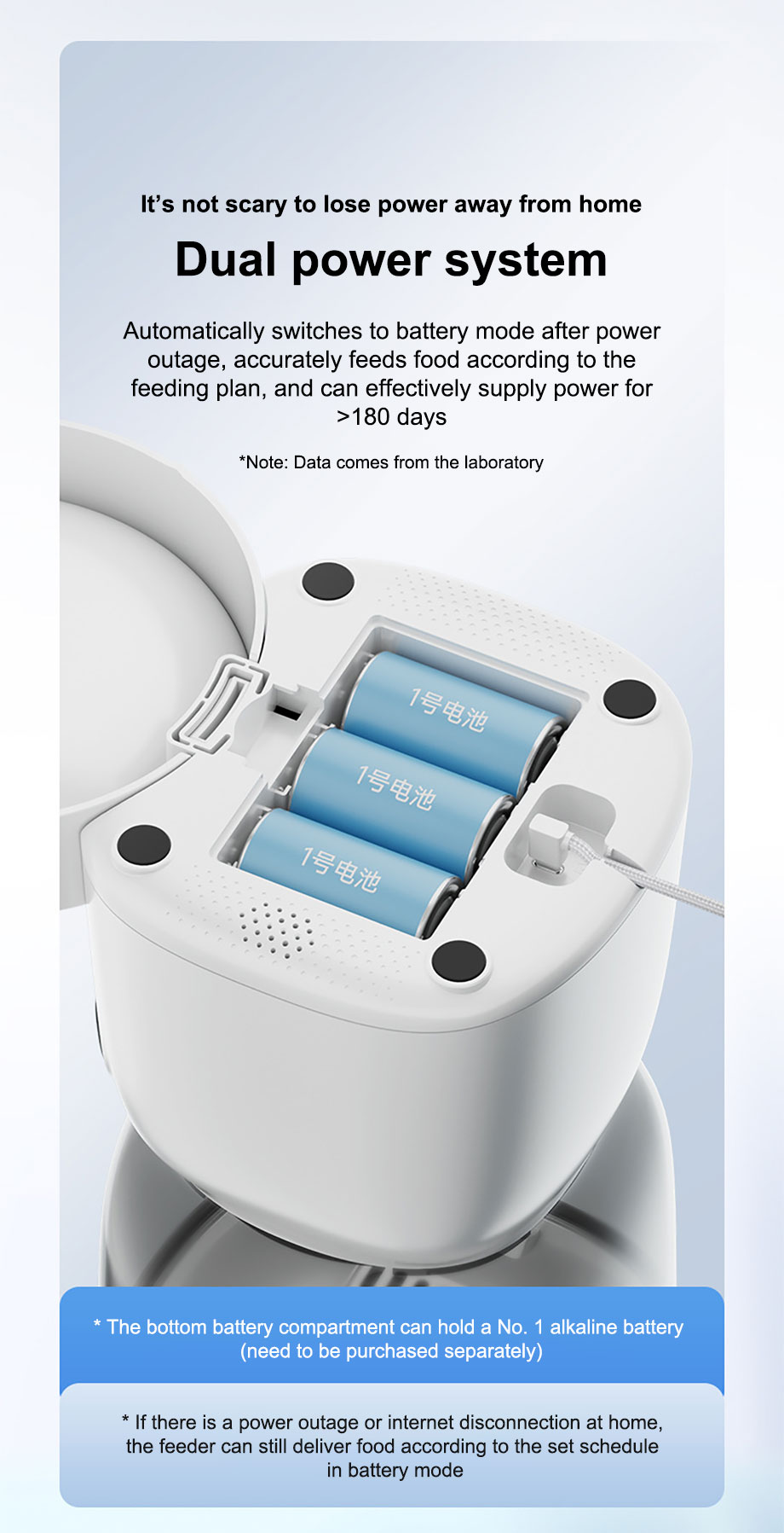 Dual power system